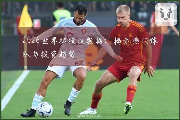 2026世界杯投注数据：揭示热门球队与投资趋势