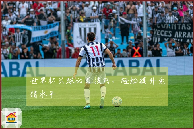 世界杯买球必看技巧，轻松提升竞猜水平